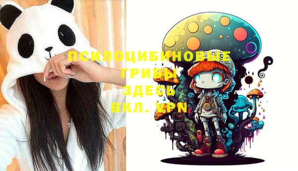 ECSTASY Семёнов