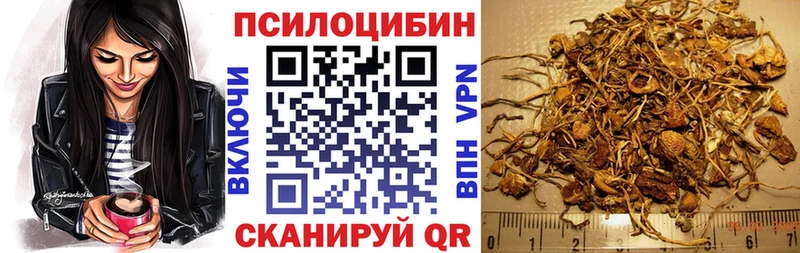 Галлюциногенные грибы прущие грибы  Купить где  Новопавловск 